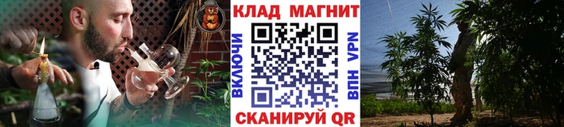 Где продают наркотики Новомичуринск АМФЕТАМИН Галлюциногенные грибы COCAIN Гашиш Канабис Мефедрон