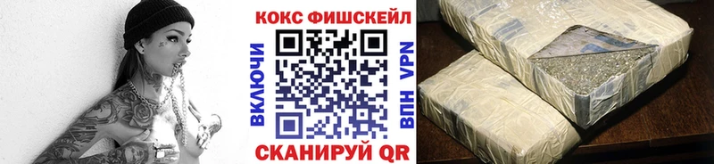 Кокаин Fish Scale  Новомичуринск 