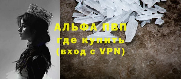 прущие крисы Ладушкин