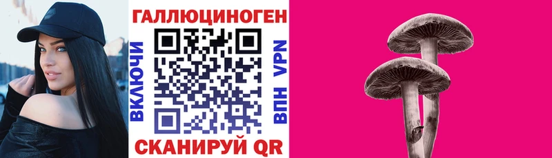 купить   ссылка на мегу зеркало  Галлюциногенные грибы мухоморы  Новомичуринск 